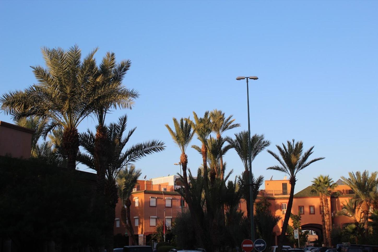Riad Darnooz Marrakesh Eksteriør bilde
